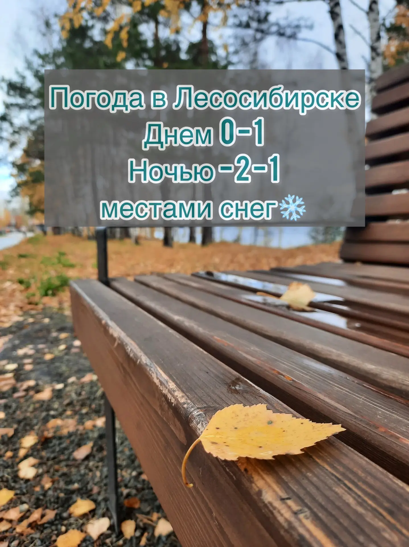 ☀️ Доброе утро, дорогие друзья!