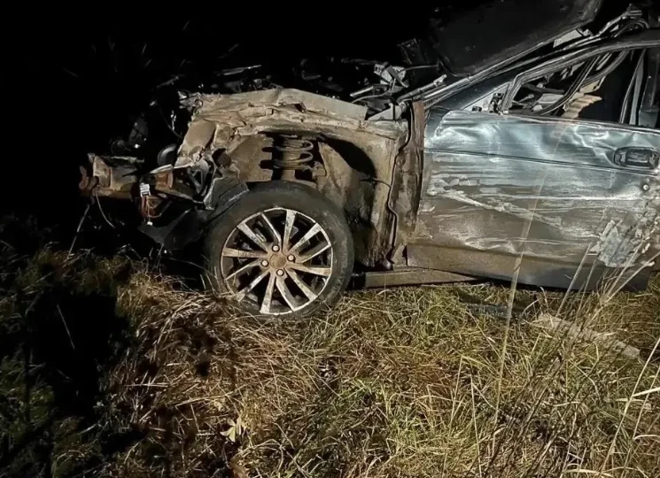 В Гафурийском районе в ДТП с лошадью пострадали три человека