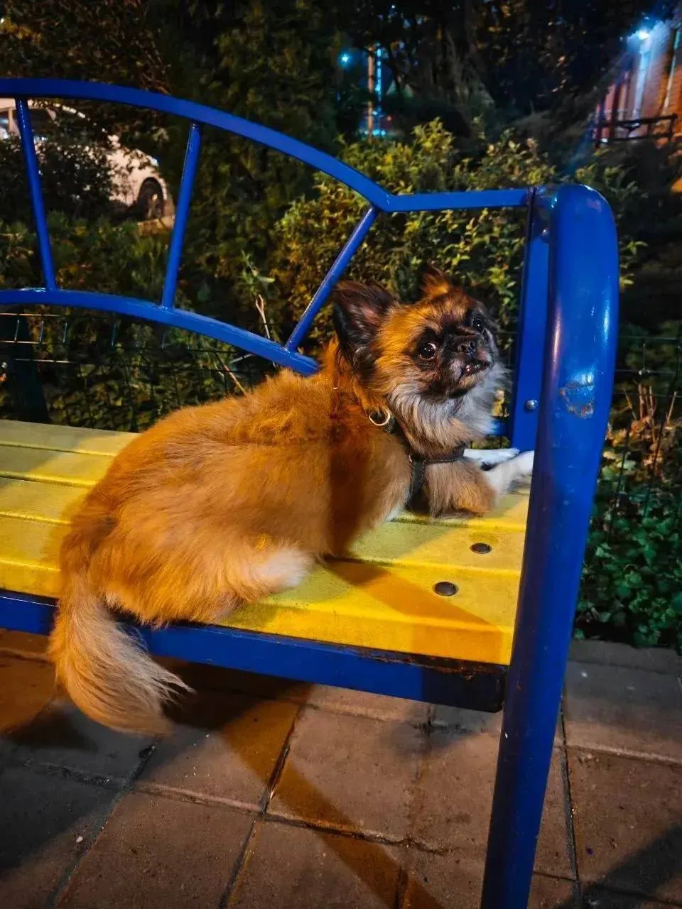 😸 Краснодар, кольцо 40 Лет Победы.