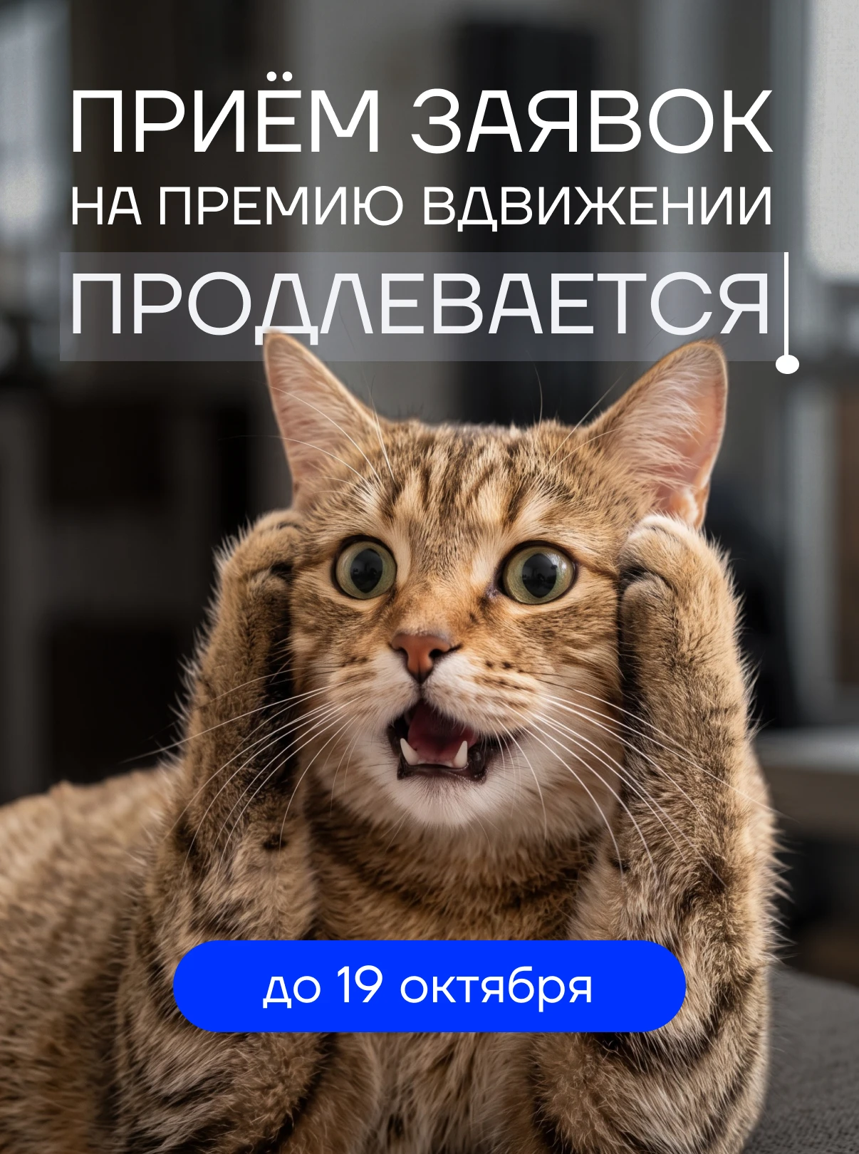 Не успел запрыгнуть в последний вагон? 🤭