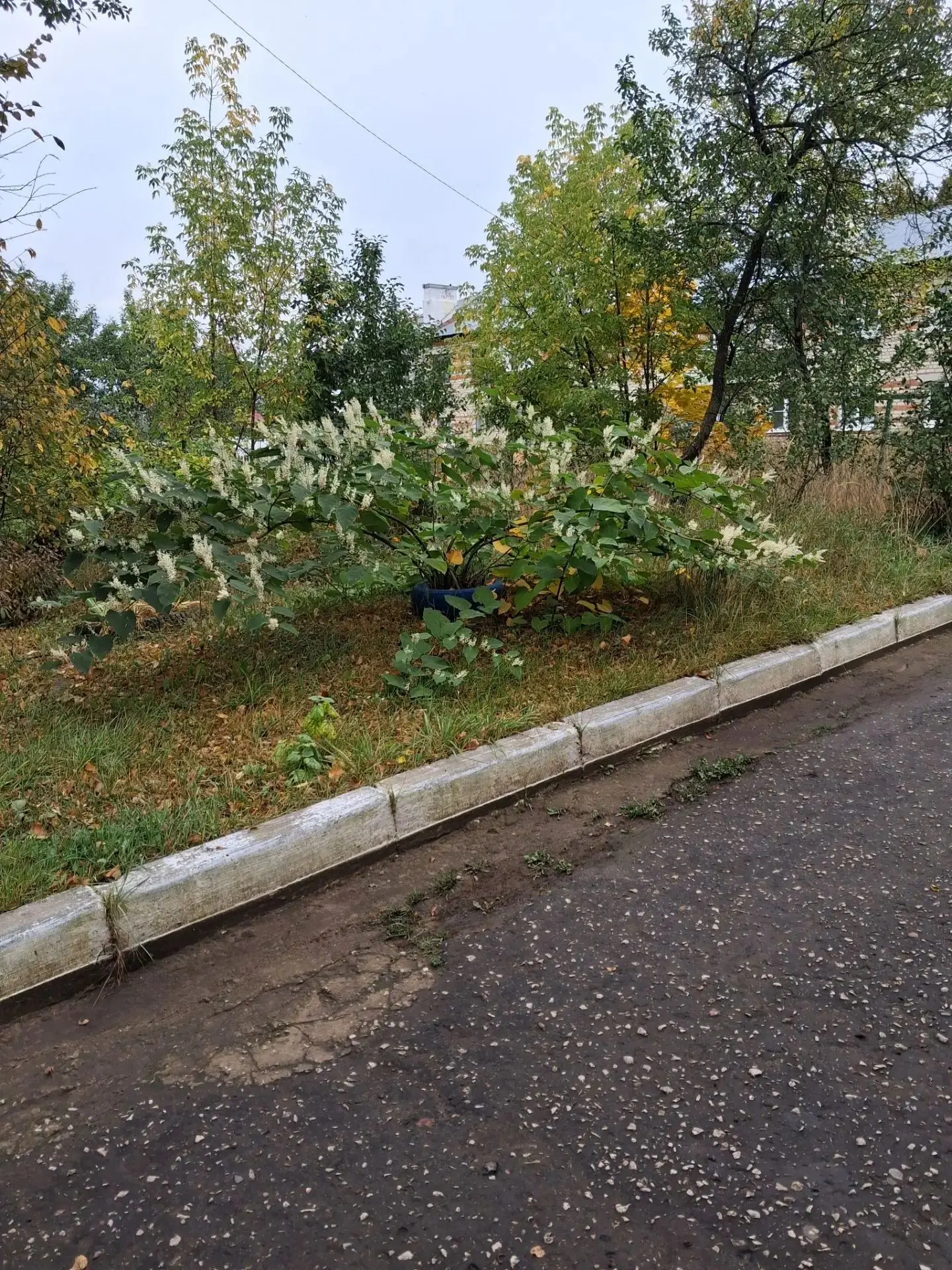 Разница в месяц!🍁