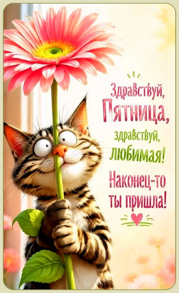 Милые открытки 😊 подписаться