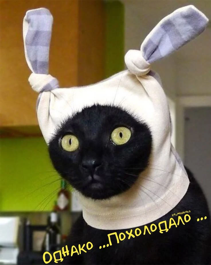 Доброе утро мои хорошие дорогие ❤️