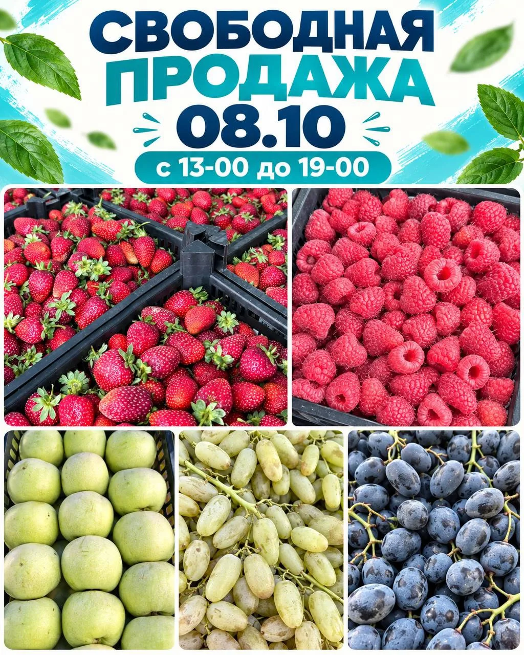 🍓 Свободная продажа - 08.10