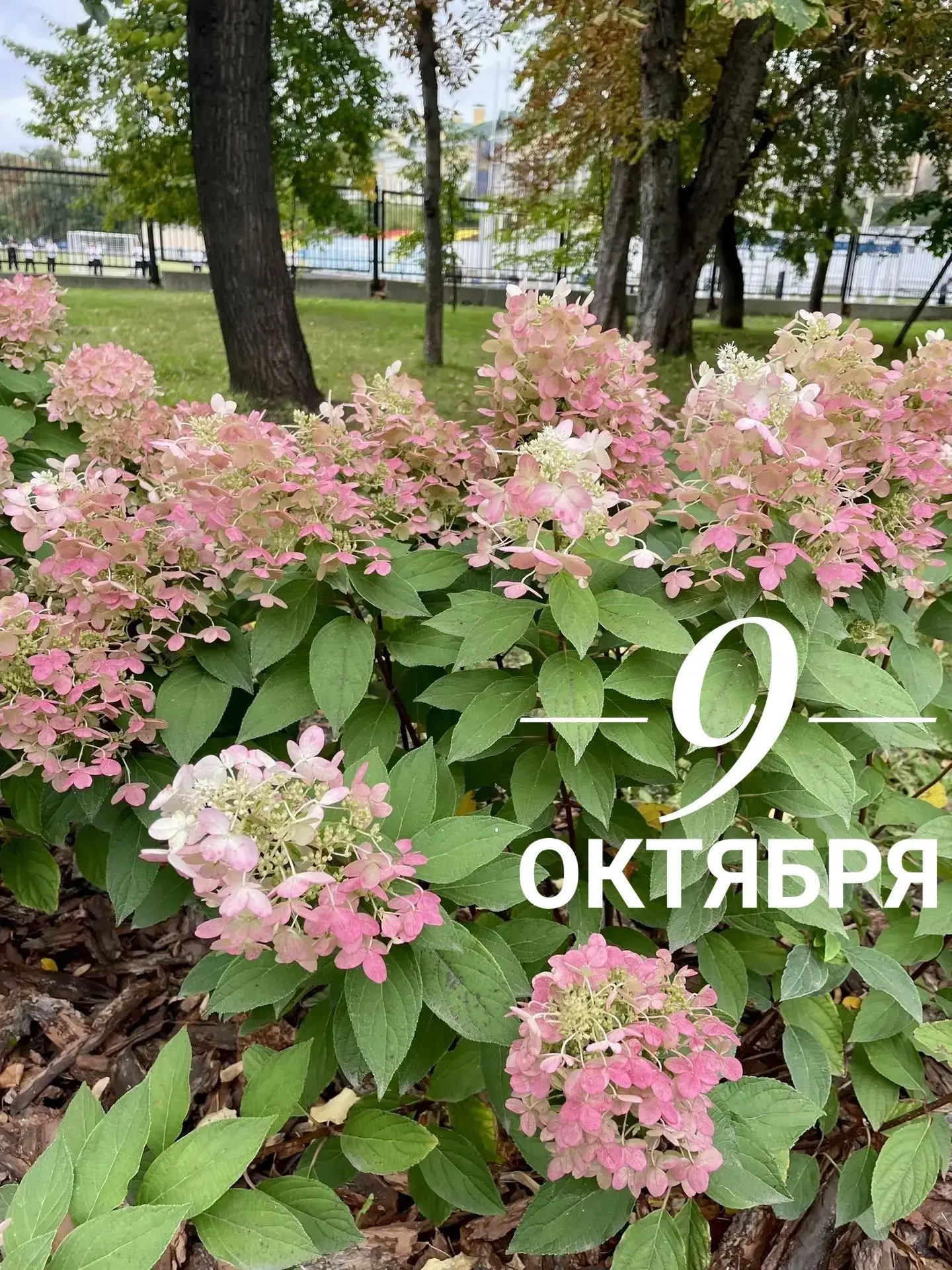 Доброе утро! Крепкий тыл!❤