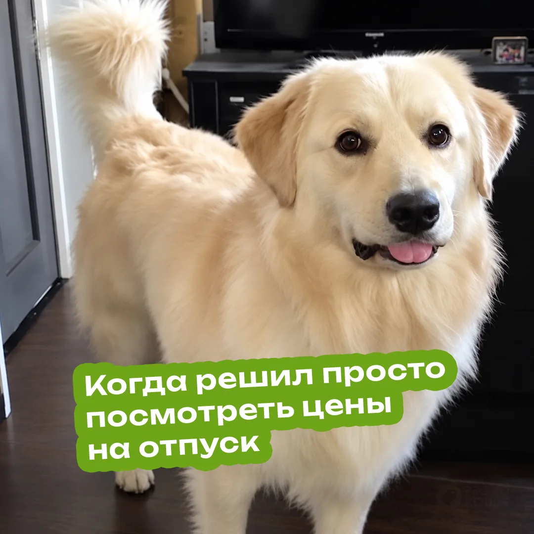 Взрослая жизнь — это когда лучший сюрприз не подарок, а отсутствие новых расходов 🫠