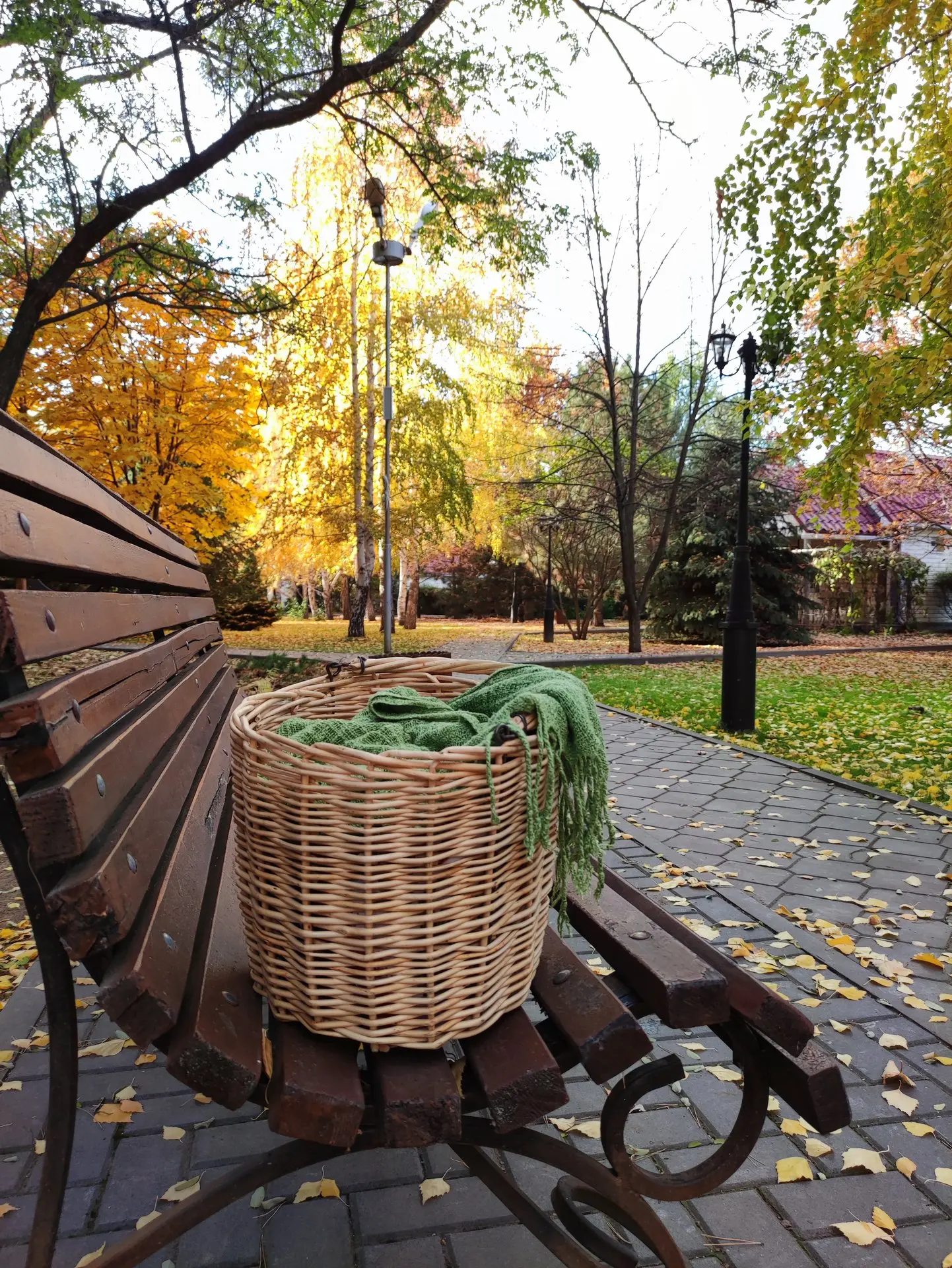 Приезжайте в Осинки за осенним настроением! 🍁