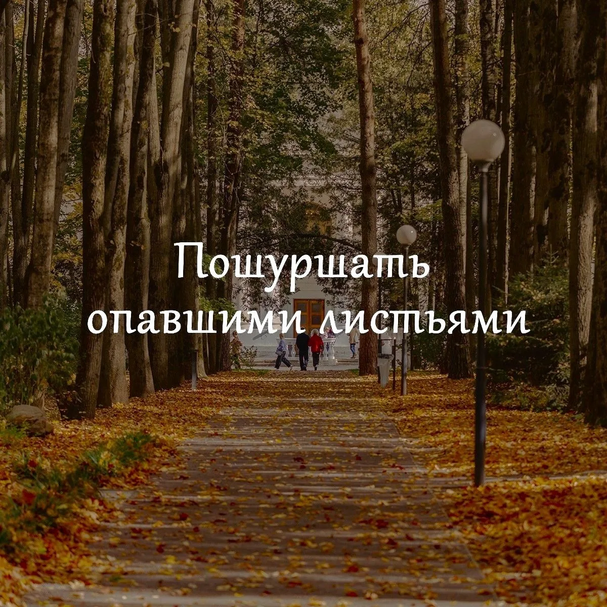 Пока октябрь сохраняет тёплые краски, а на улице ещё можно застать солнечные дни, стоит...
