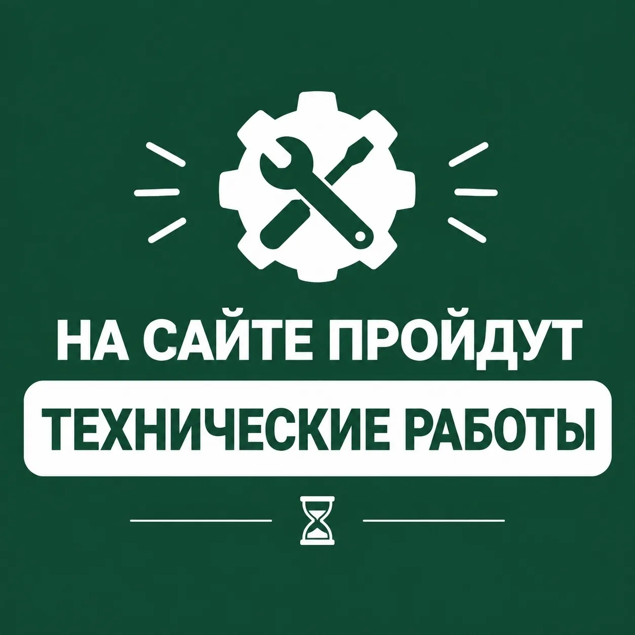 10 и 11 октября 2026 года на официальном сайте органов местного самоуправления города Н...