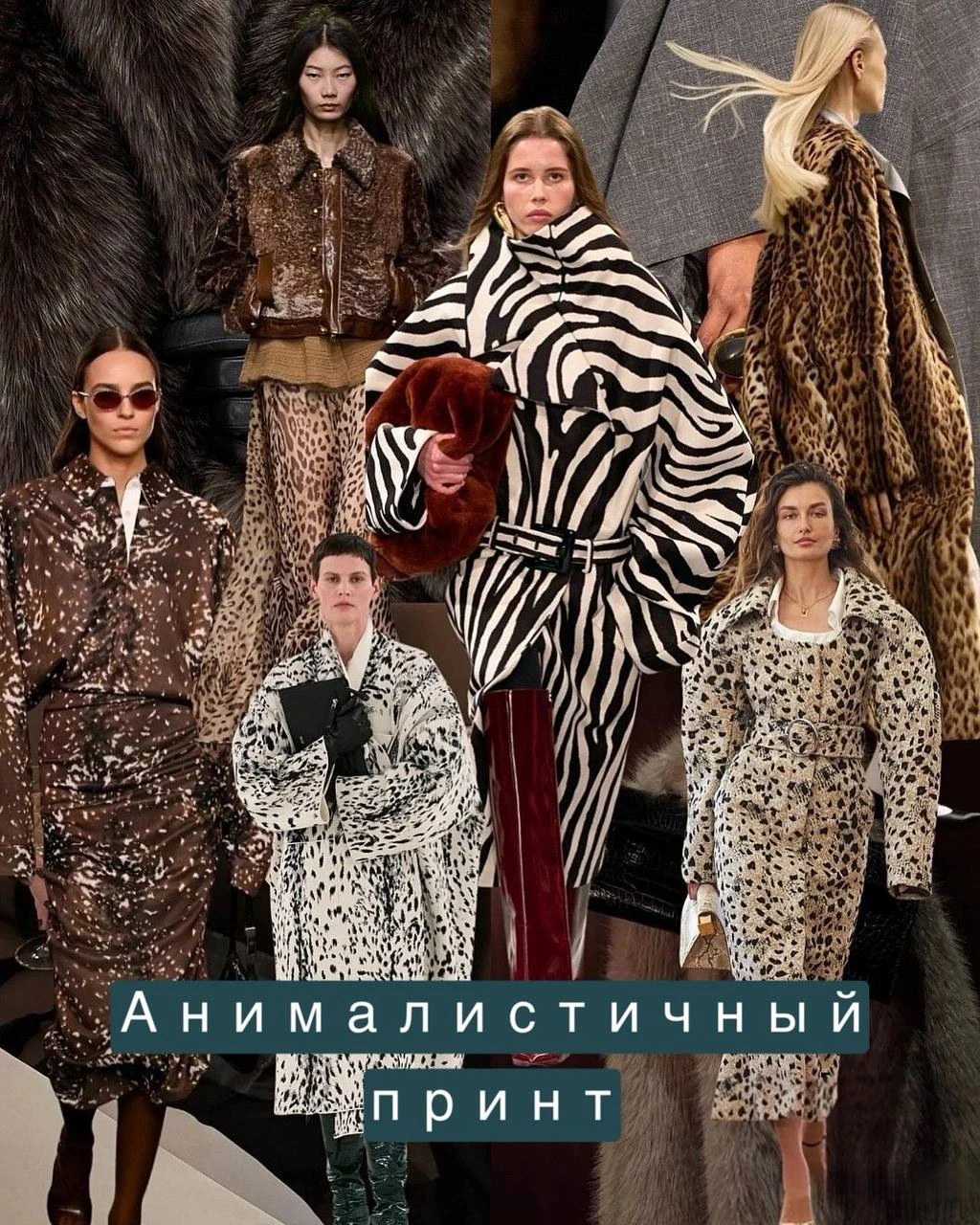 Этой осенью анималистичный принт ощущается не столько как заявление, сколько как часть ...