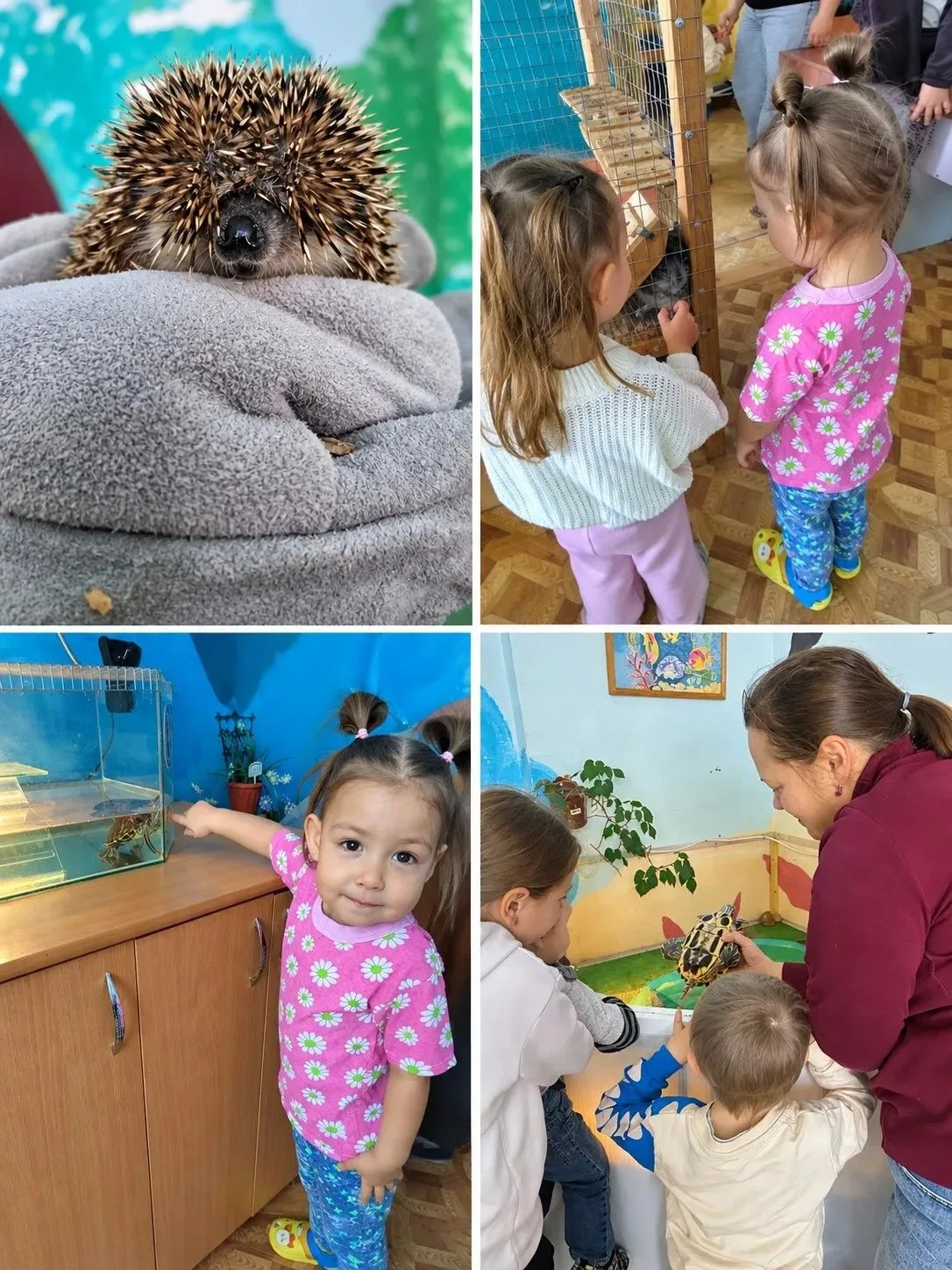 Выходные с пользой и морем детского счастья! Наша средняя группа «Полянка» вместе с род...