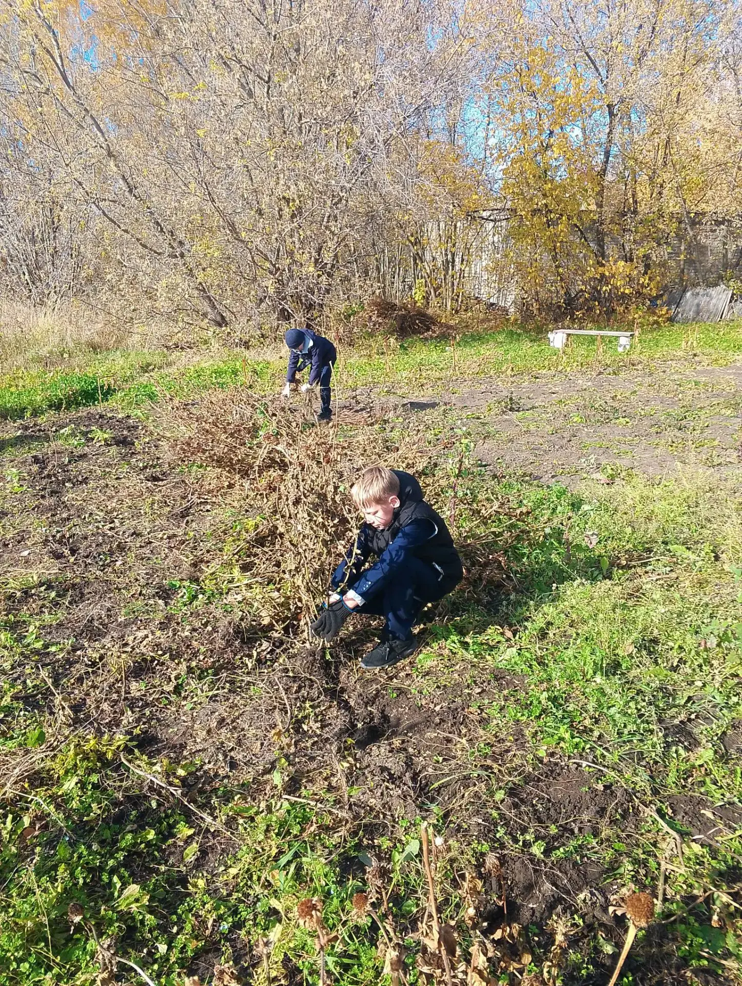 Завершилась трудовая смена на школьной фазенде: юные агрономы собрали урожай семян🍅🥕🥒🥔