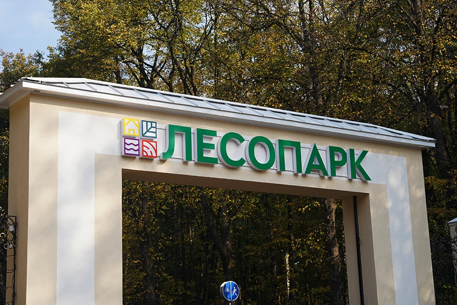 🌱 В Лесопарке высадили саженцы черёмухи