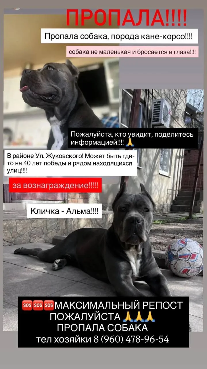 #соседипишут