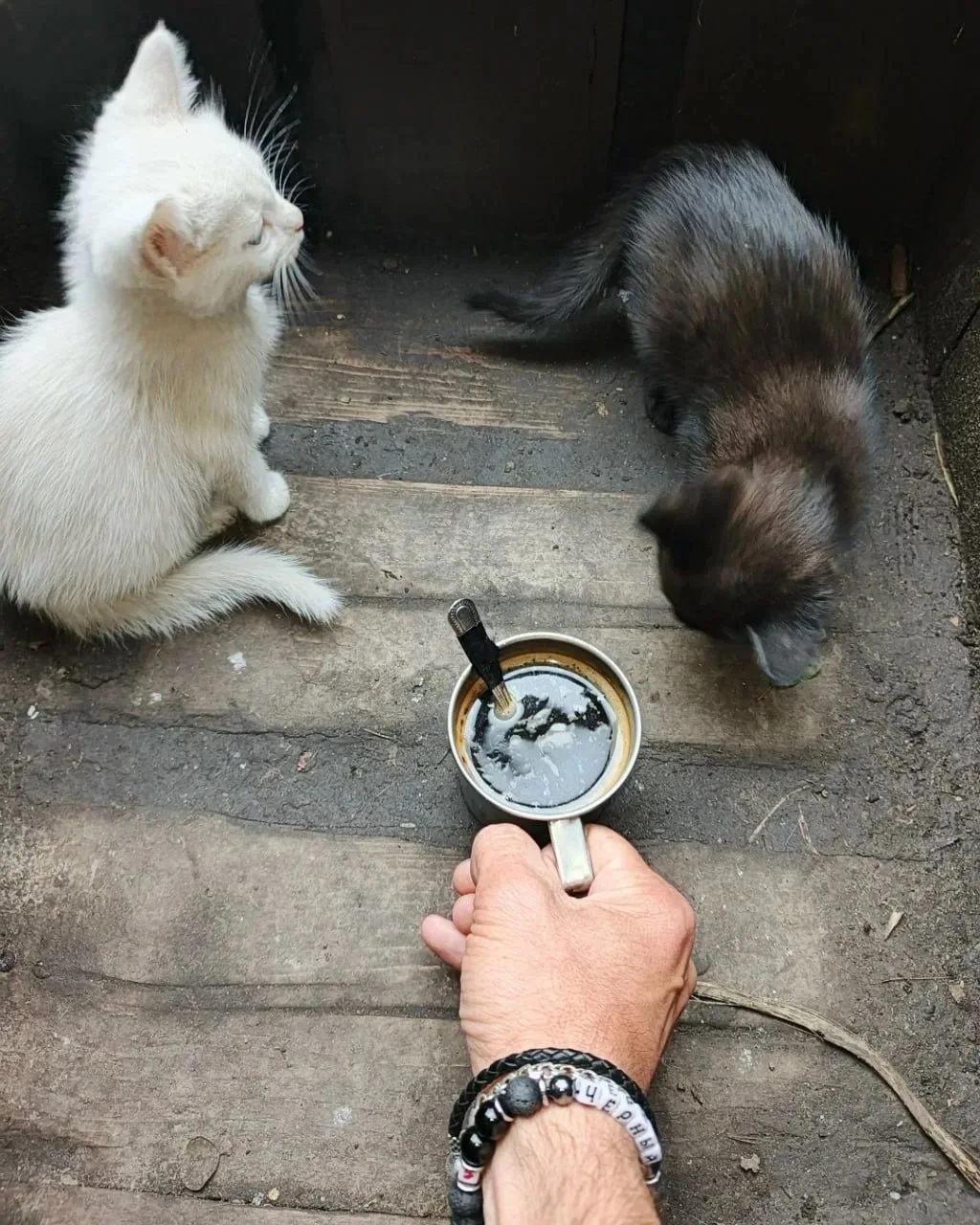 Кофе — не роскошь, а средство передвижения!😉
