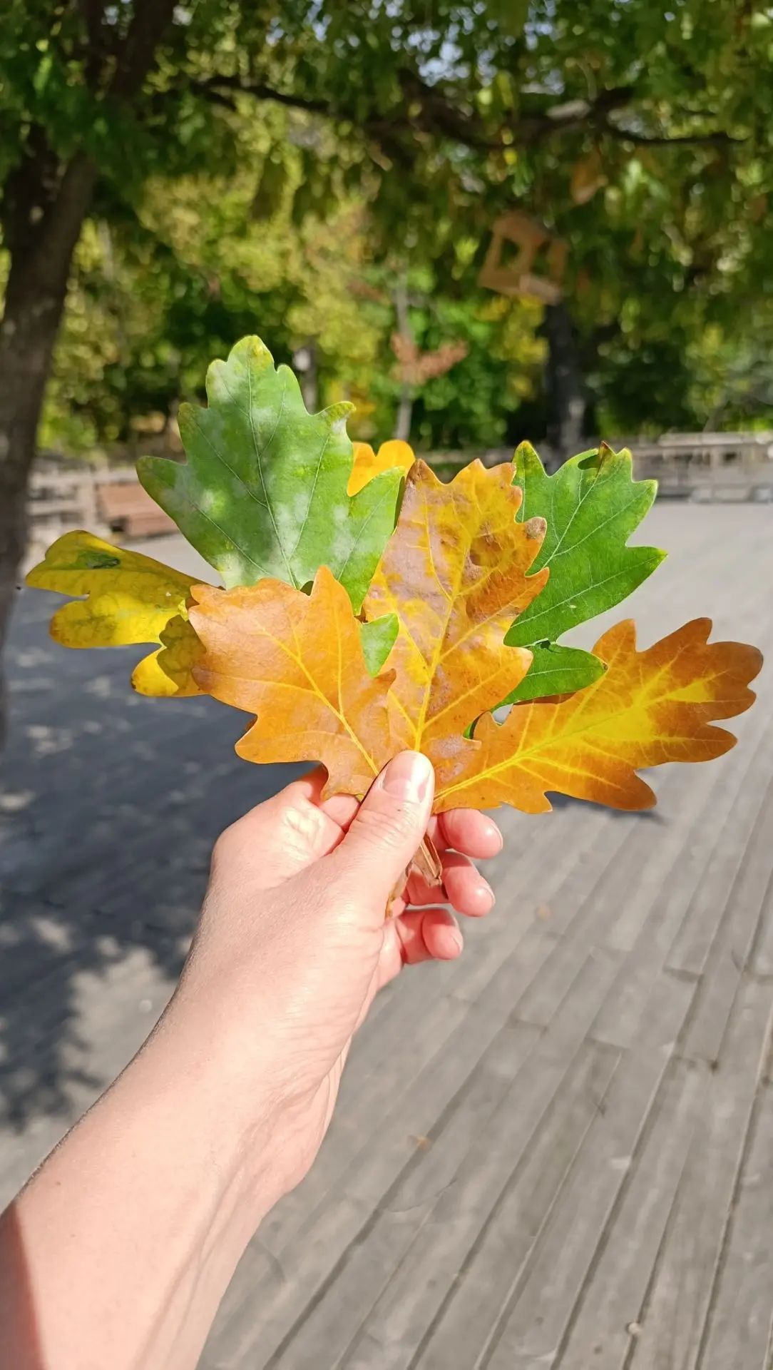 Какая тёплая осень в этом году!☀️