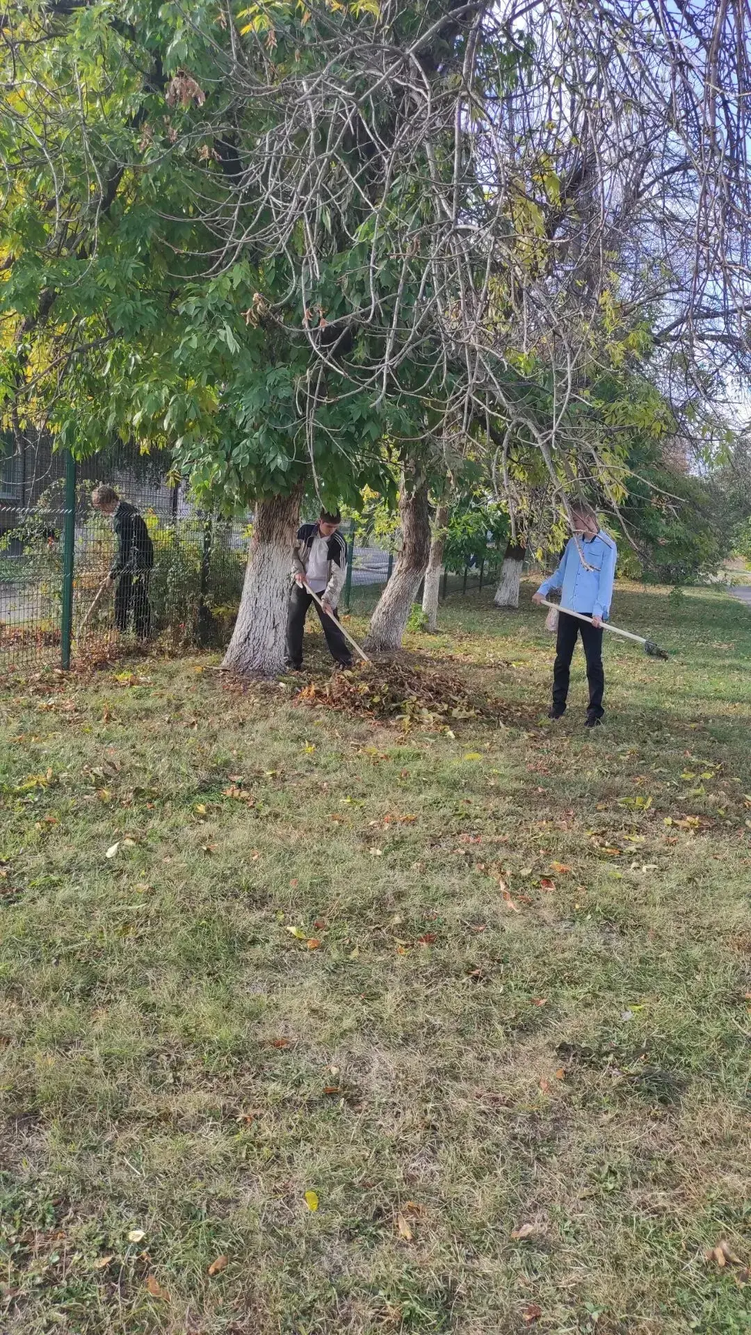🍁Сегодня в нашей школе прошёл осенний городской субботник по уборке пришкольной террит...