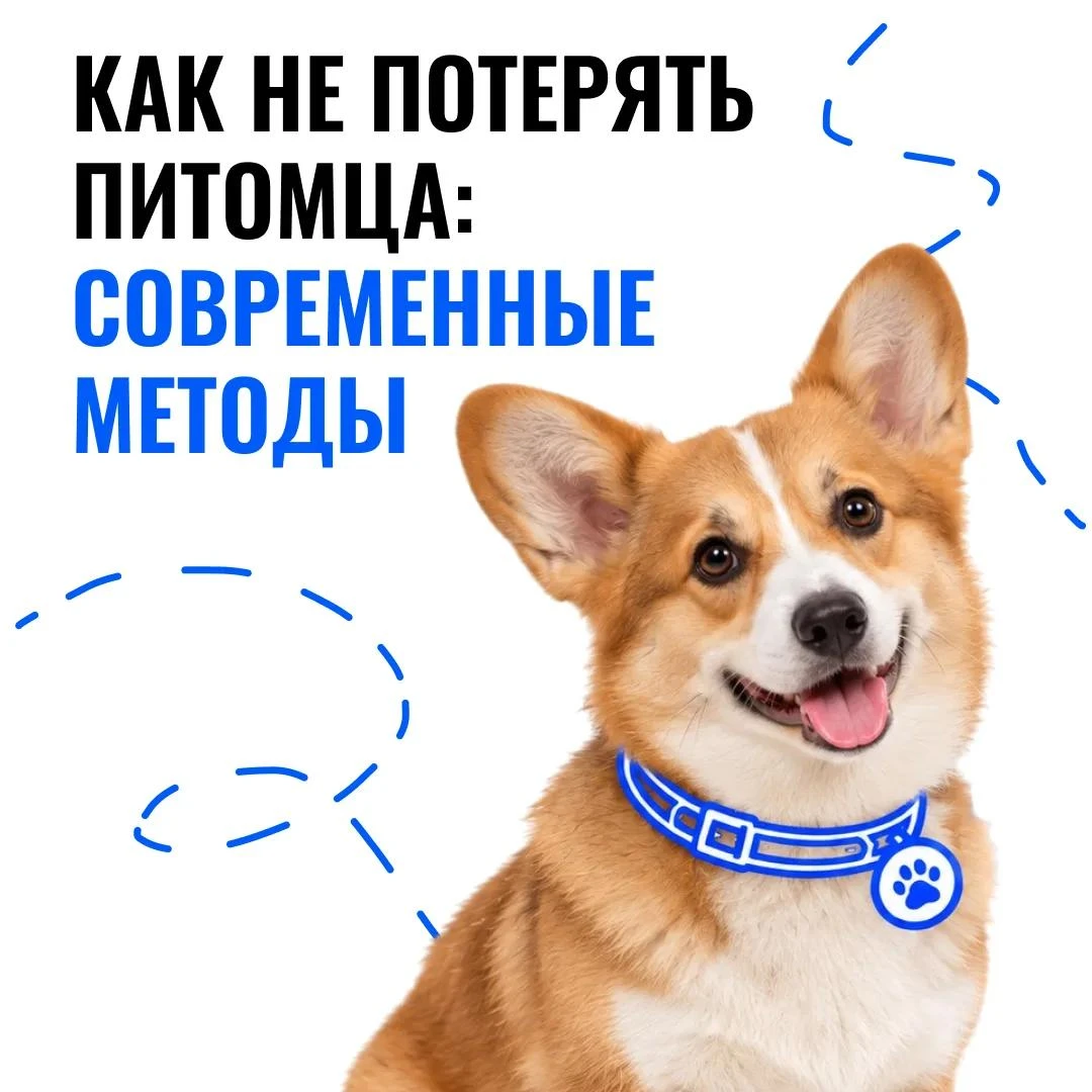 Безопасность питомца во многом зависит от готовности владельца к неожиданным обстоятель...