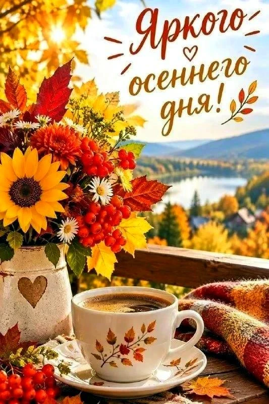 Милые открытки 😊 подписаться
