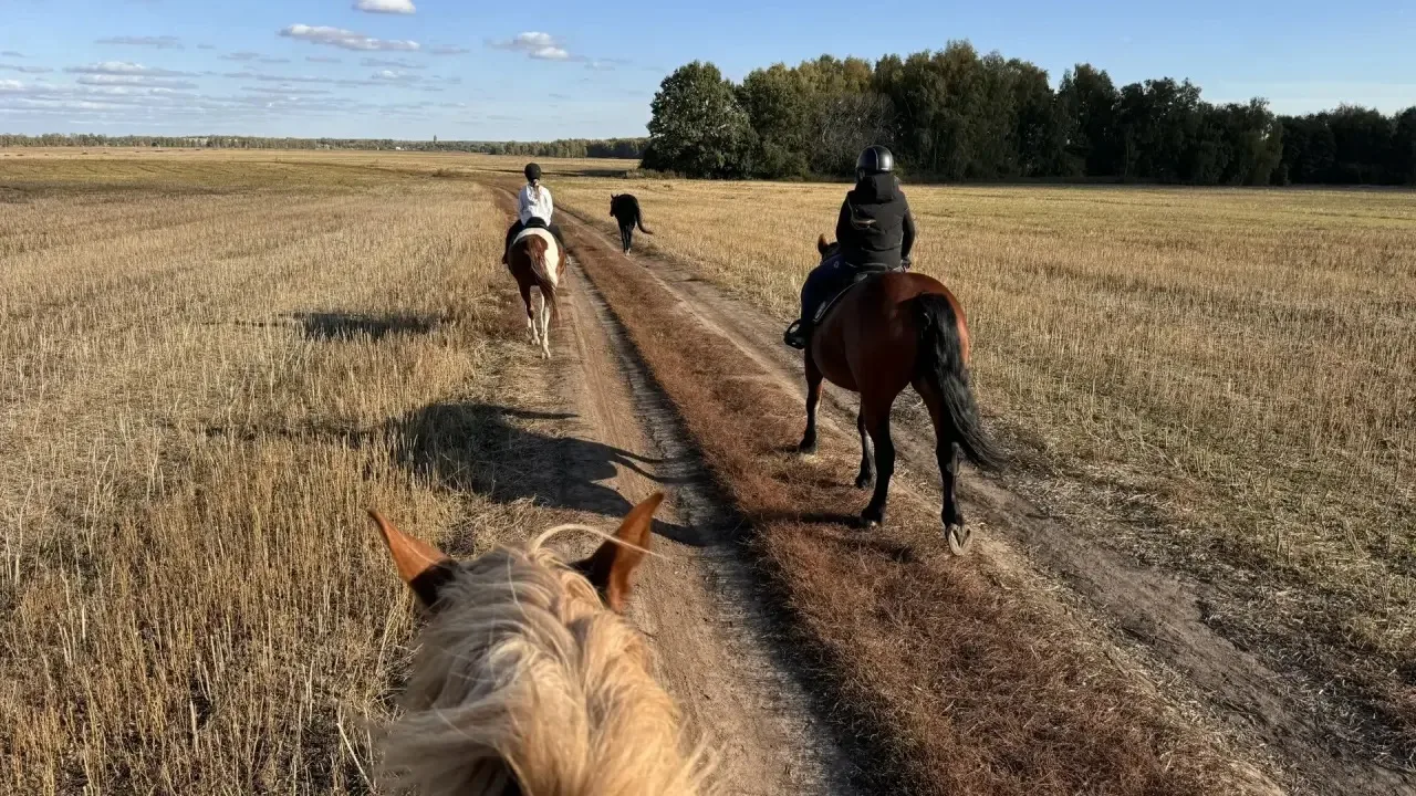 Ну какая же красота на нашей Луховицкой земле, да еще верхом в седле!
