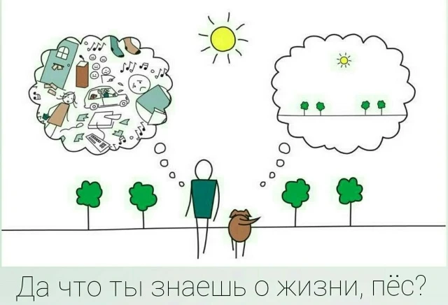 Эго — это рассудочное мышление. Следуя за мыслями, мы создаём сансару и все трудности.