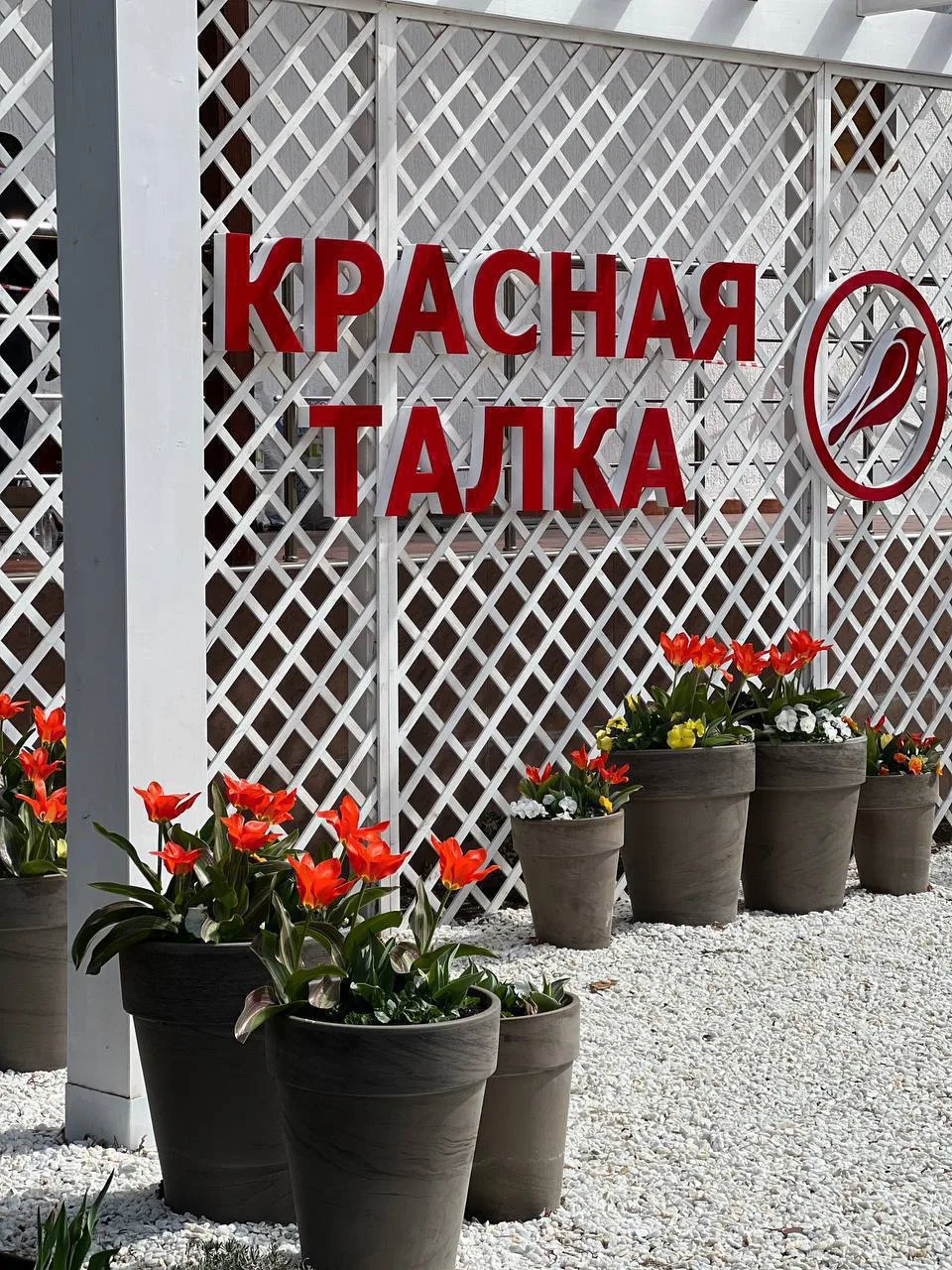 🔥 ОСЕНЬ И ЗИМА В ЛЮБИМОЙ КРАСНОЙ ТАЛКЕ В ЦЕНТРЕ ГЕЛЕНДЖИКА С 5-И РАЗОВЫМ ПИТАНИЕМ , КР...