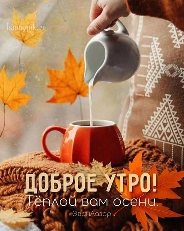 Самое доброе, осеннее утро ☀️