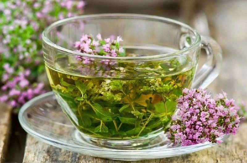 🌿 Шалфей — ваш природный защитник!