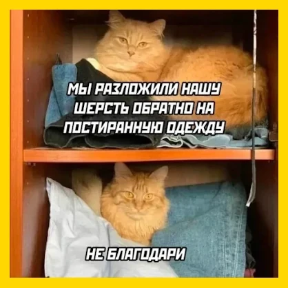 Полный Хохотамбл! Подпишись скорее