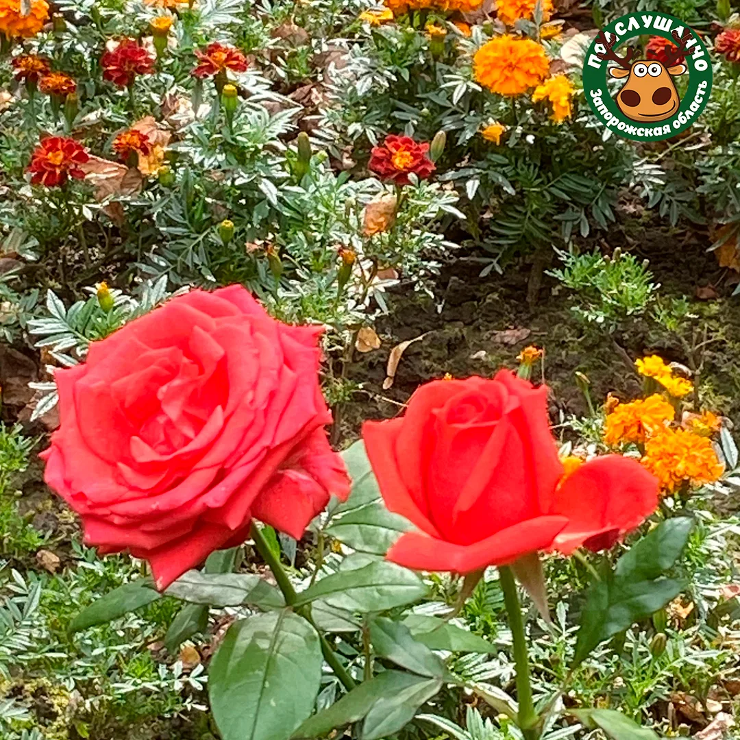 😊 Доброе утро, друзья!