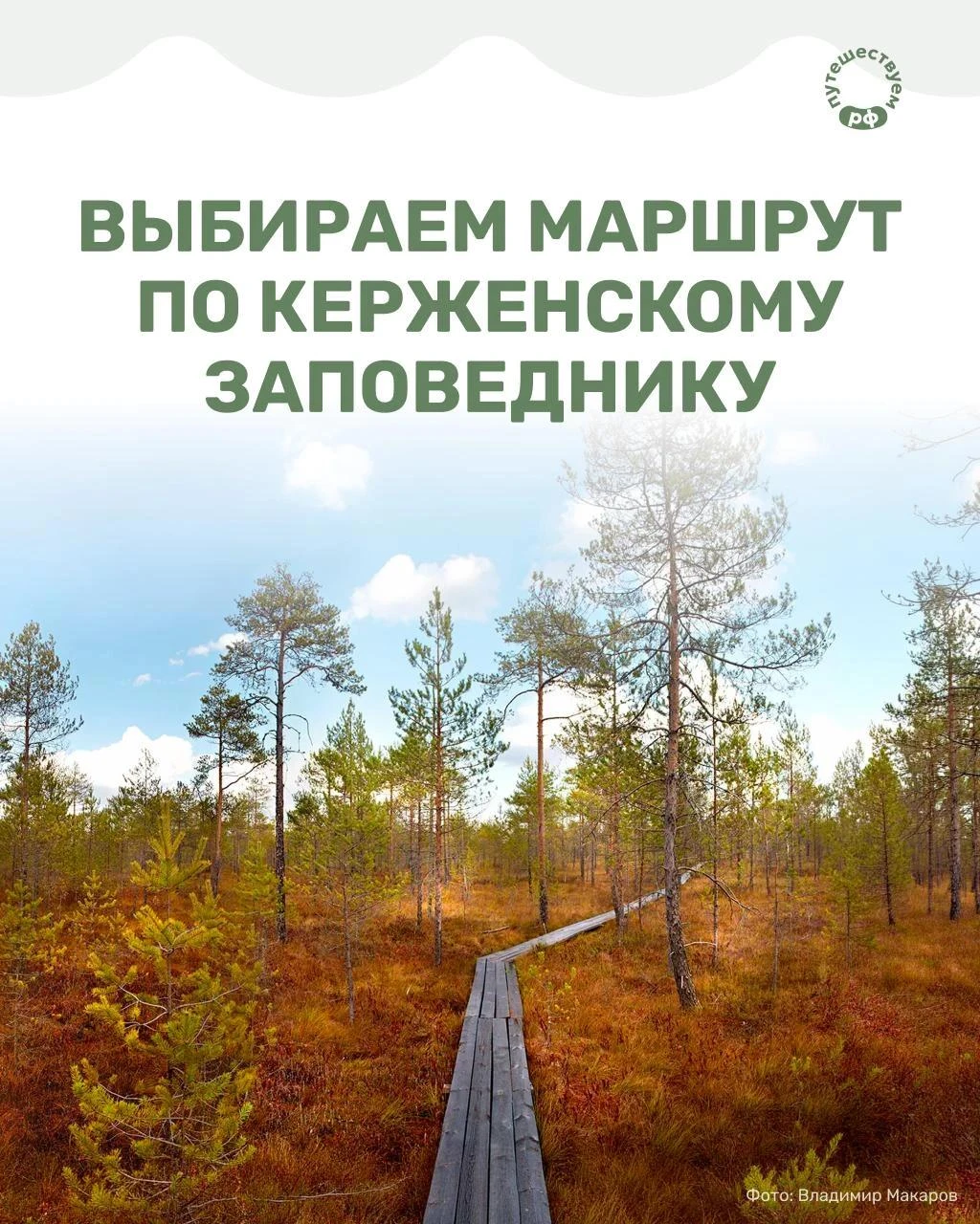 Познакомиться с семьей северных оленей, вдохнуть чистый сосновый аромат и забыть про го...