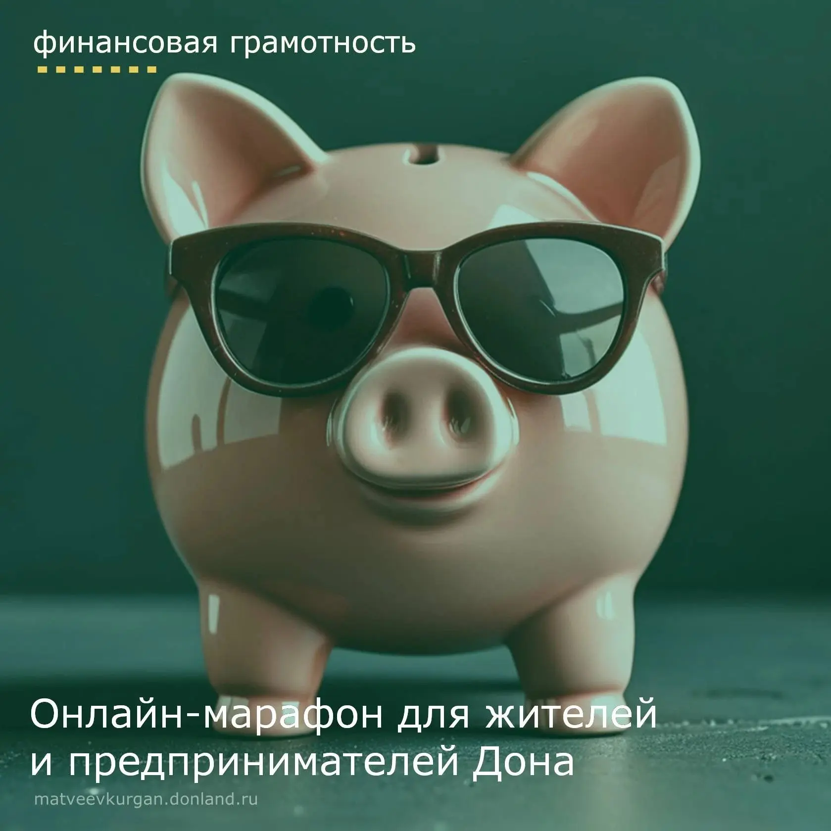 В Ростовской области при поддержке Ассоциации развития финансовой грамотности (АРФГ) пр...