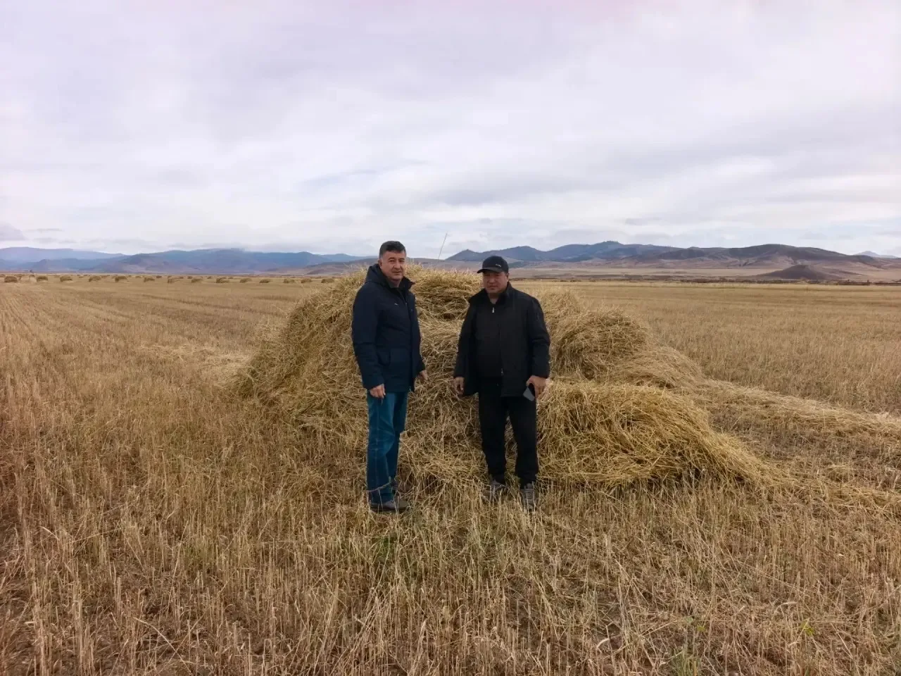 Уважаемые работники и ветераны сельского хозяйства Кяхтинского района! 🌾 Поздравляю ва...