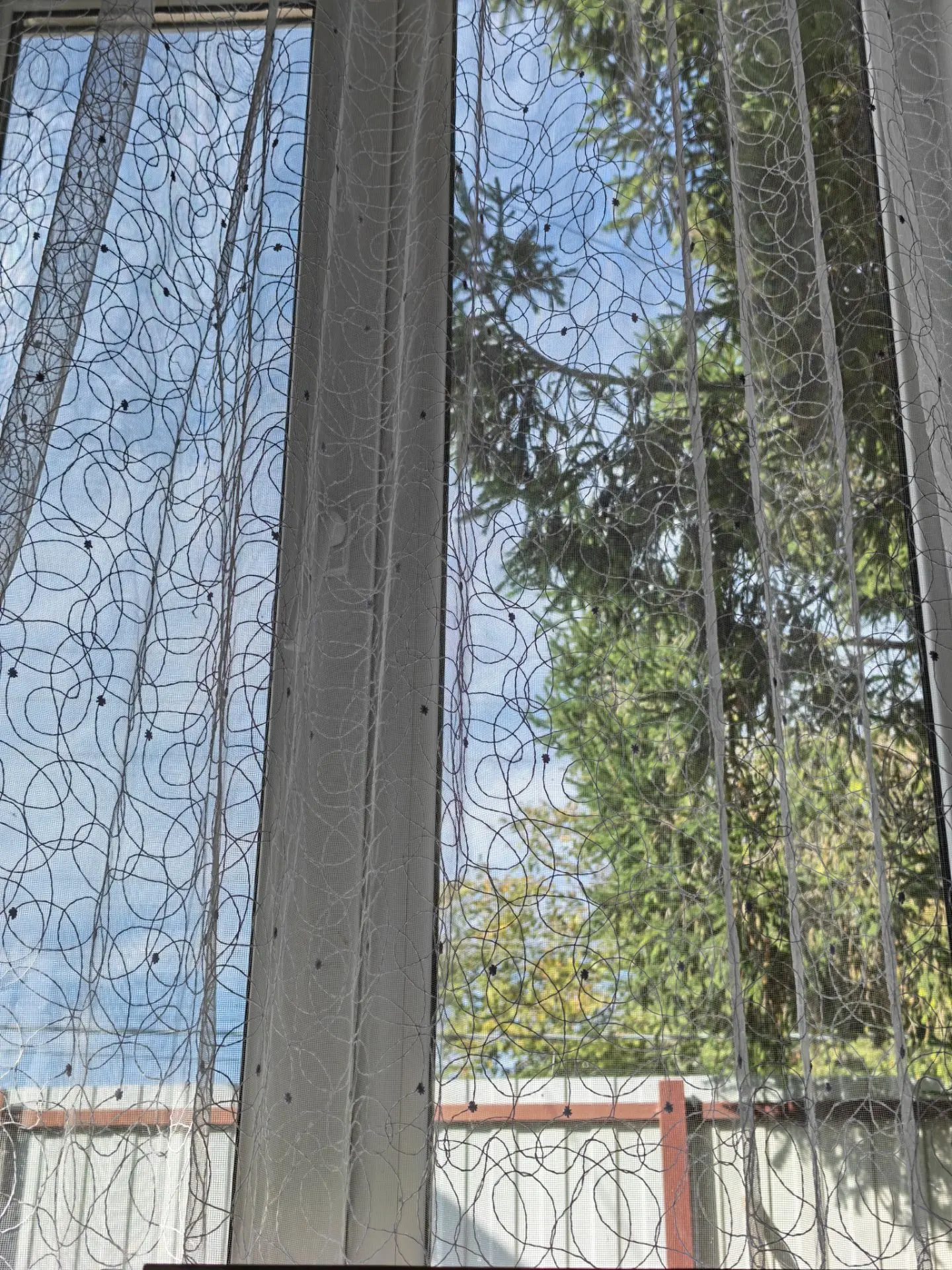 ☀️ На улице погода просто супер — солнце, лёгкий ветерок…