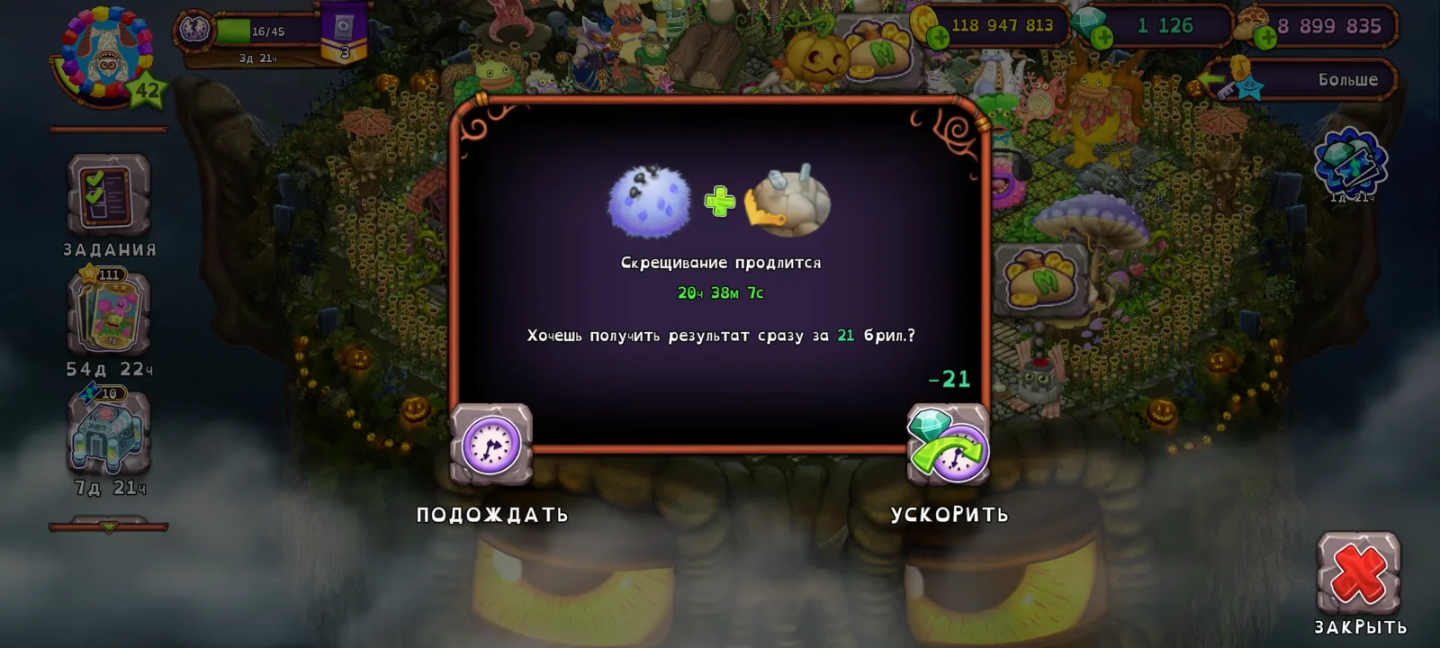Редкая? С первой?