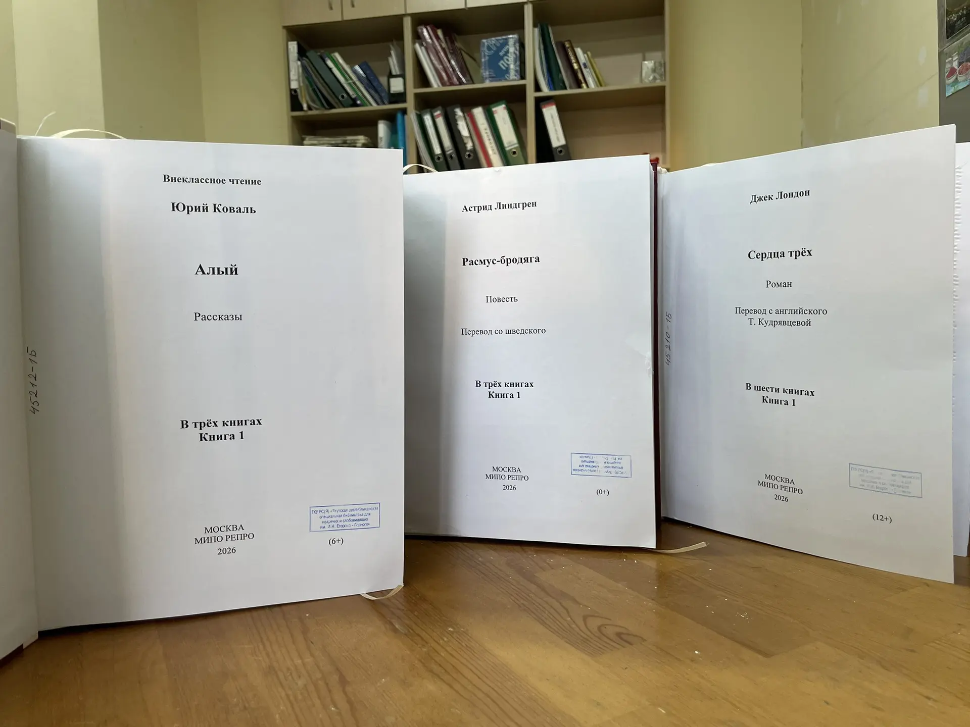 📚 Новые книги шрифтом Брайля!