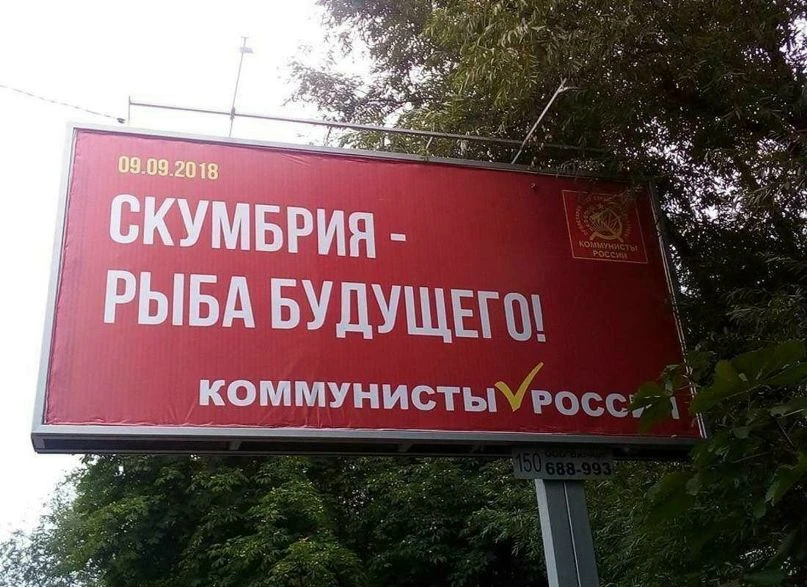 Сразу хочется взять и проголосовать.