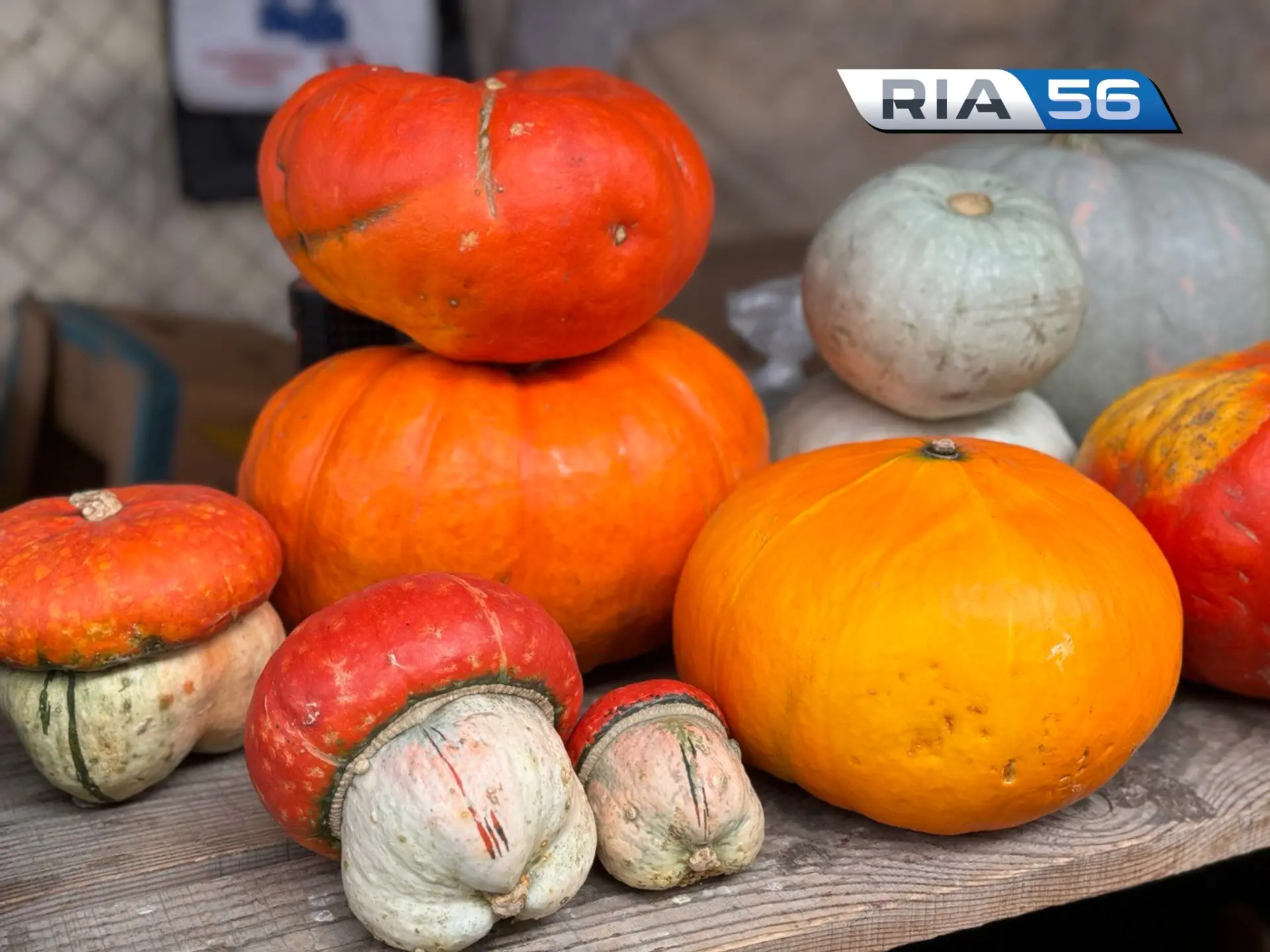 🎃 Тыква — не просто овощ: 5 интересных фактов о сезонном продукте