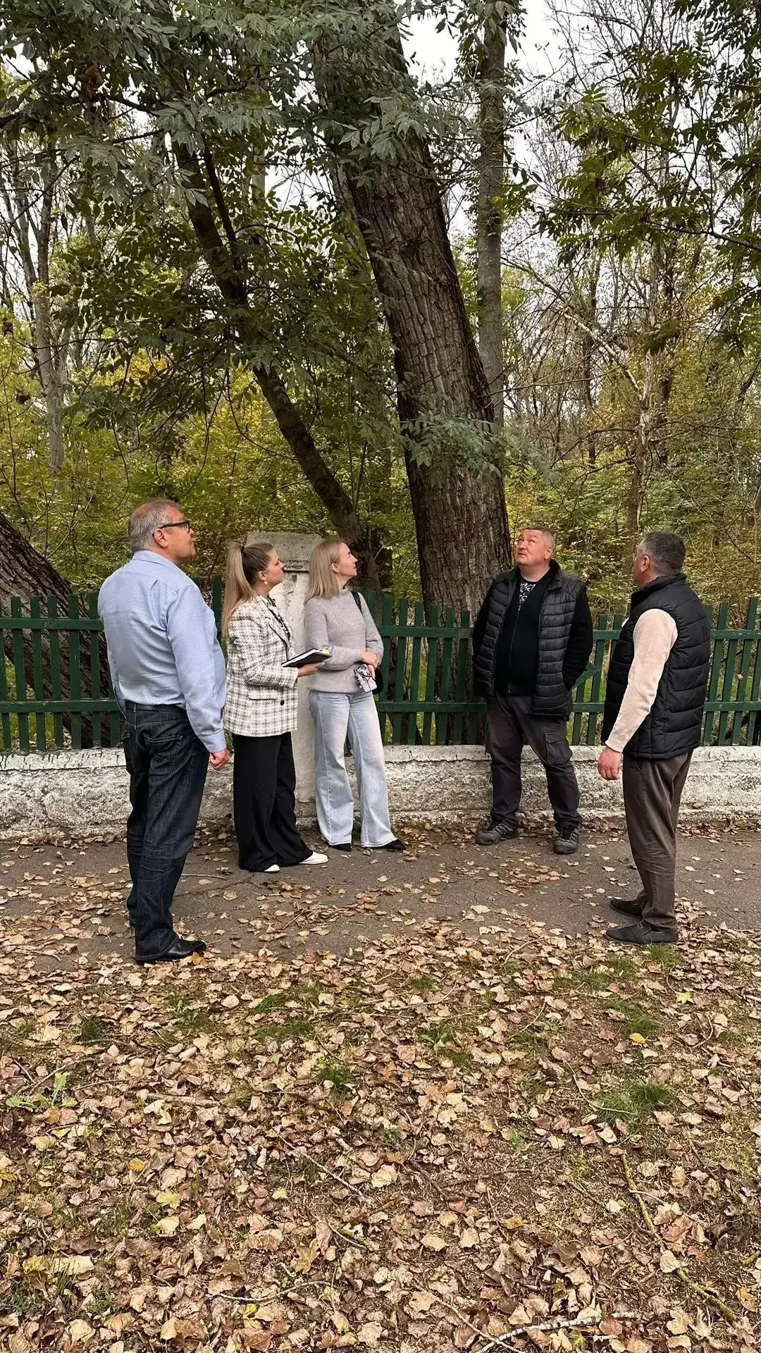 📢 По обращениям жителей в Коммаяке спилят аварийные деревья