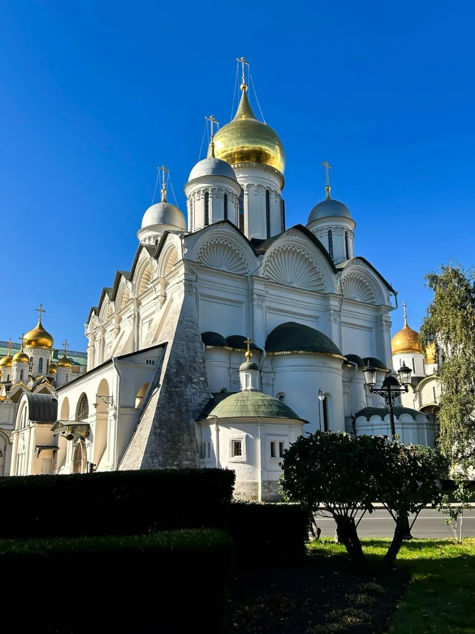 Доброго утра и благословенного дня!🕊️