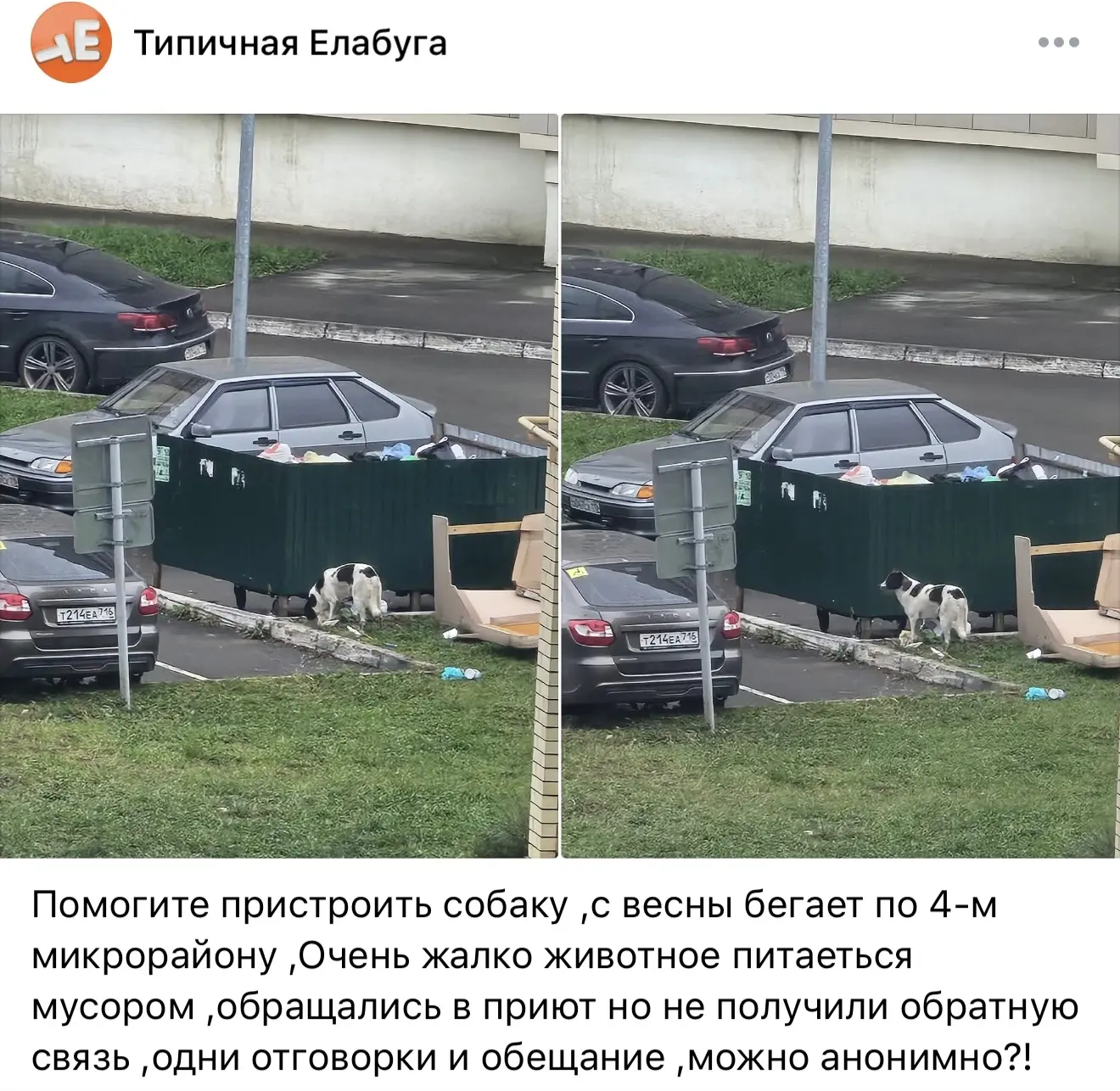 Автор данного поста ,отзовитесь пожалуйста , эту собаку давно ищут , он с Бузулука , ви...