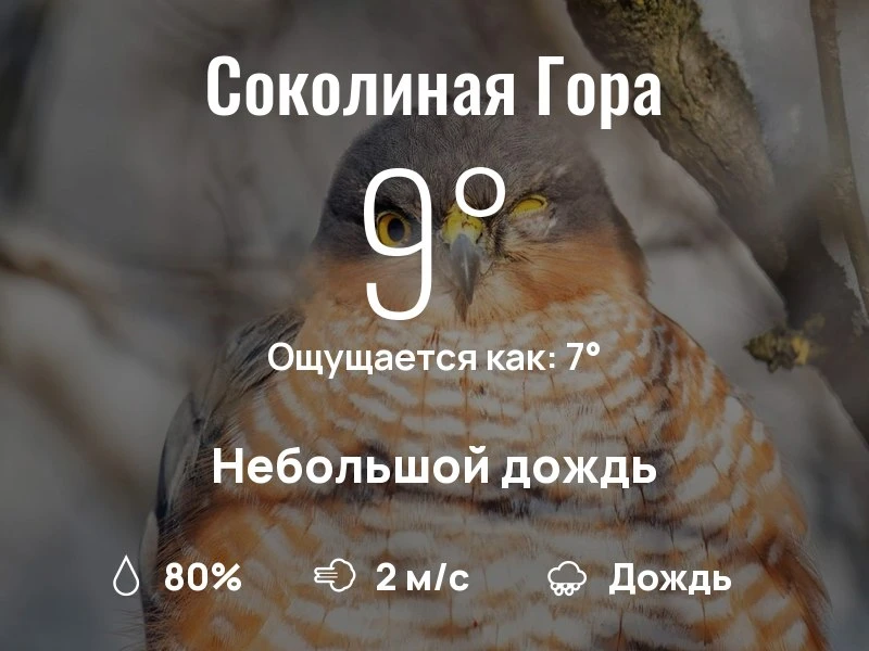 Что с погодой в районе Соколиной Горы?