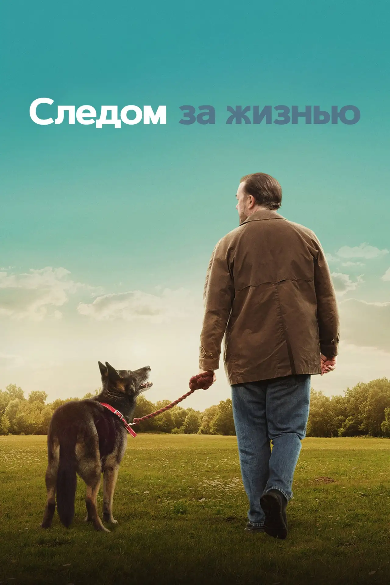 🎥 Сериал: Следом за жизнью