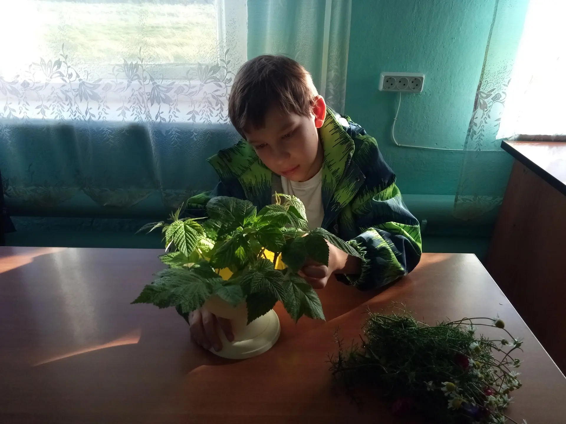 🍁Осень - это время ярких красок, когда зелень сменяется золотом, багрянцем, охрой и ме...