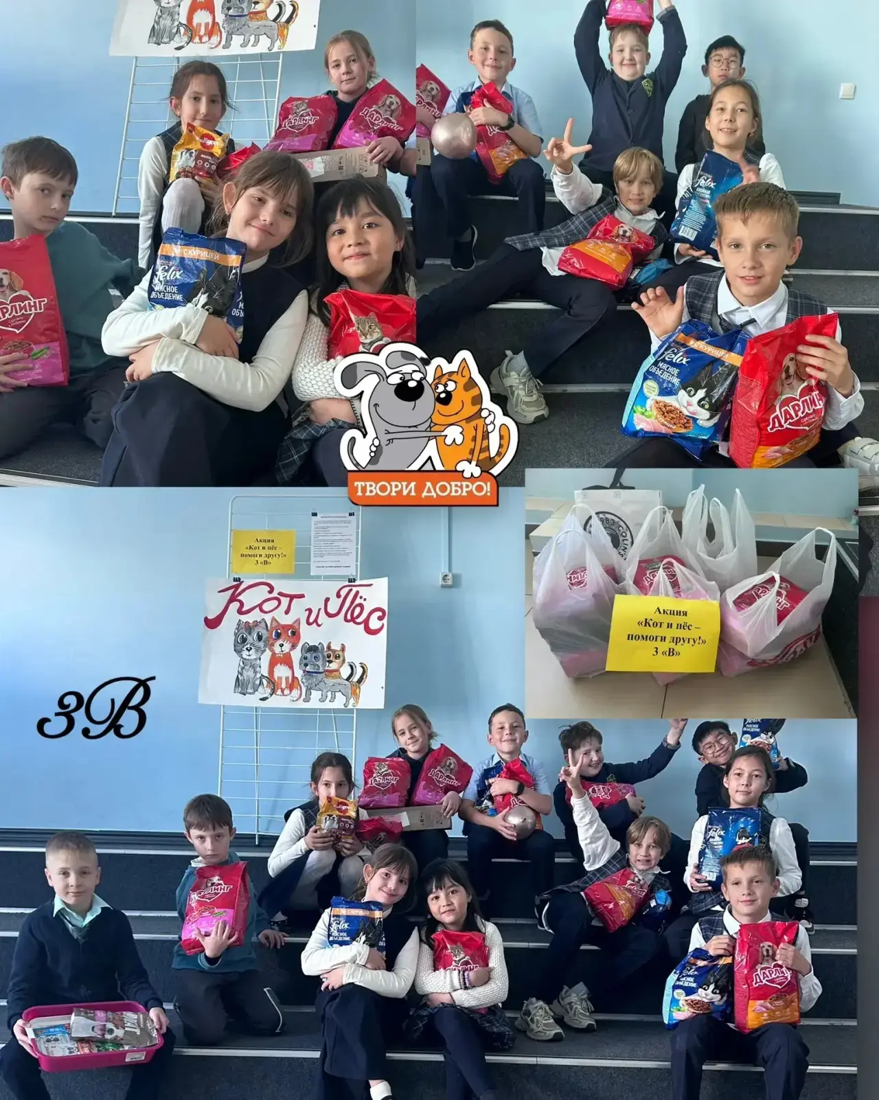 🐾 Огромное спасибо! Акция добра в гимназии № 3 завершилась ❤️