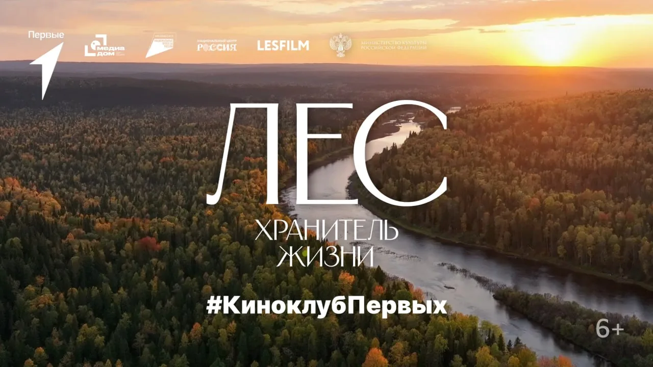 🌲 Что осталось за кадром фильма «Лес. Хранитель жизни»? Четыре года съёмок, 14 экспеди...
