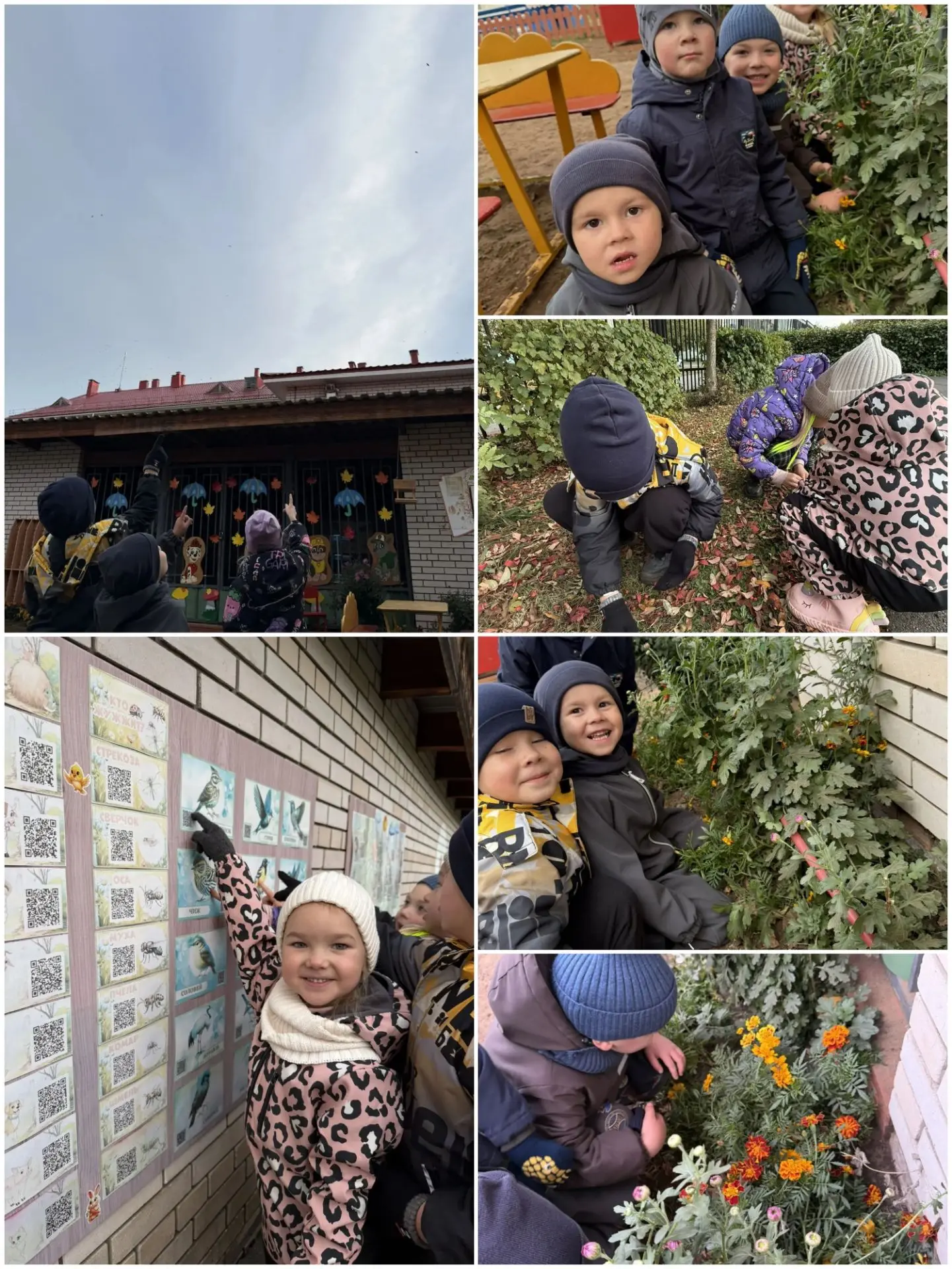 🍂 6 октября — День наблюдения за природой! 🍁