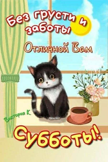 ⏳ ПОСЛЕДНИЕ 35 ЧАСОВ! СУББОТНИЙ ПЕРЕПОЛОХ VIP-КУПЦОВ В ЛАДОЖСКОЙ! 🎰👑🦁Ох, кумушки-гол...