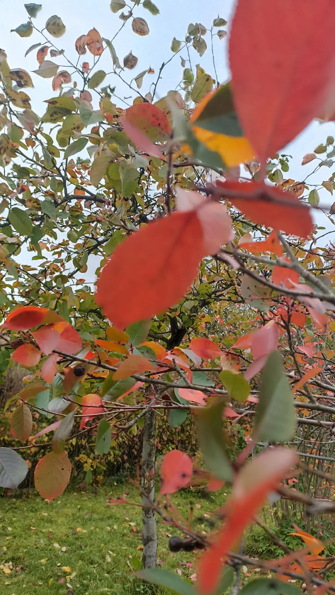Доброго утра, друзья☺ Хорошего дня и отличного настроения❤