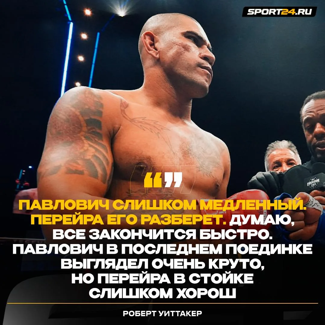 Уиттакер ставит на Перейру в бою с Павловичем 👀